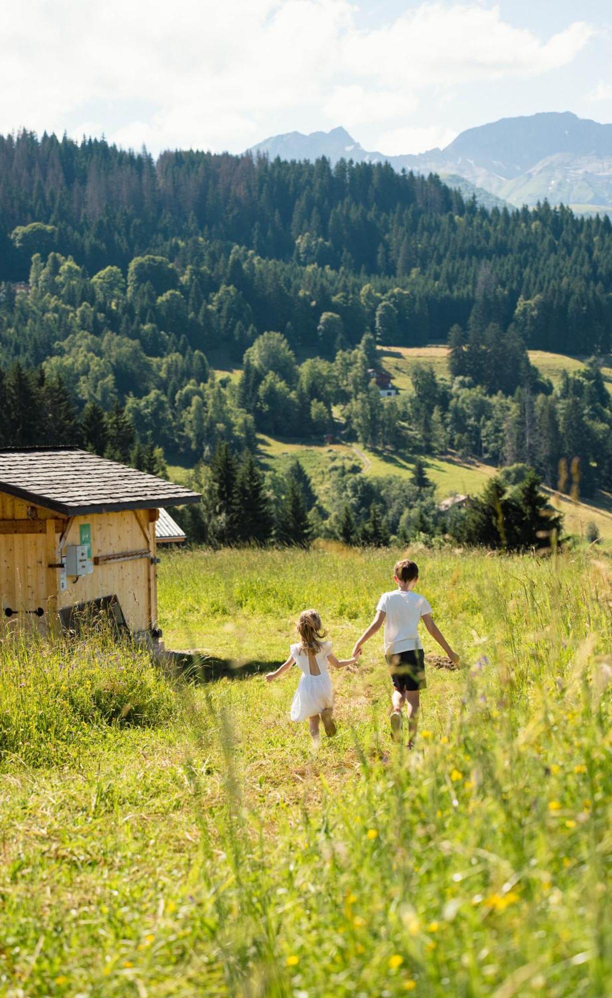 Chalet Alpen Valley, Mont-Blanc Комблу Екстер'єр фото